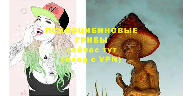 PSILOCYBIN Магас