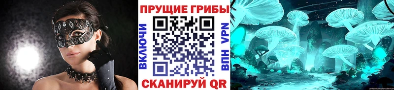 Галлюциногенные грибы Magic Shrooms Рязань
